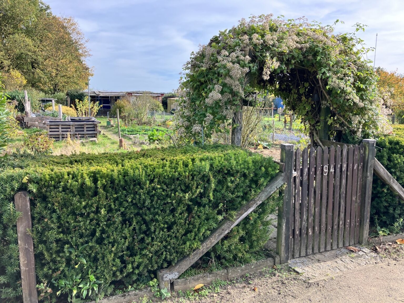 Projekt Schrebergarten BÜNDNIS 90/DIE GRÜNEN