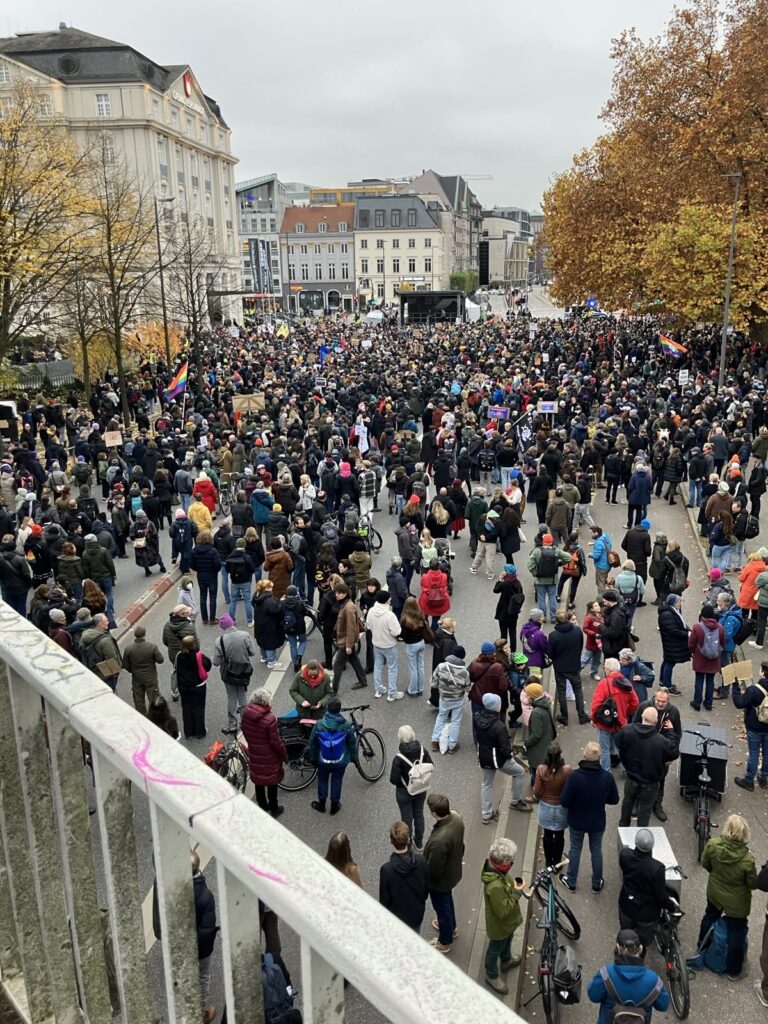 #PRÜF – Verfassungsmäßigkeit prüfen: Grüne Buchholz unterstützen diese Petition